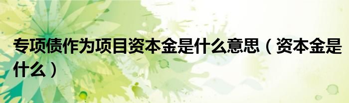 专项债作为项目资本金是什么意思（资本金是什么）