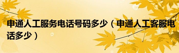 申通人工服务电话号码多少（申通人工客服电话多少）