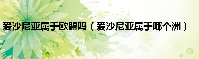 爱沙尼亚属于欧盟吗（爱沙尼亚属于哪个洲）