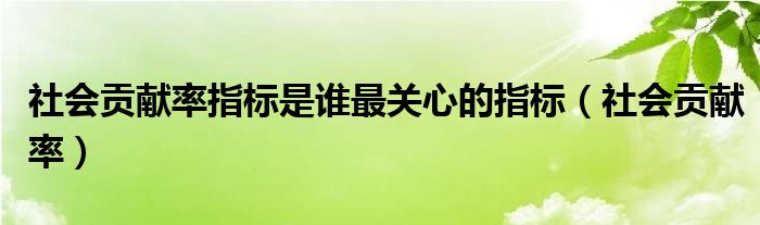 社会贡献率指标是谁最关心的指标（社会贡献率）