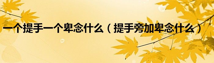 一个提手一个卑念什么（提手旁加卑念什么）