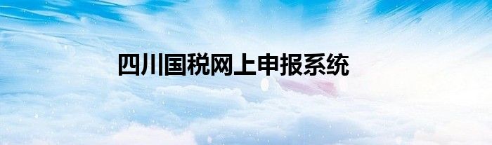 四川国税网上申报系统