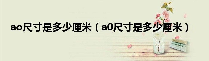 ao尺寸是多少厘米（a0尺寸是多少厘米）
