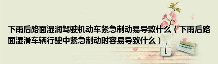 下雨后路面湿润驾驶机动车紧急制动易导致什么（下雨后路面湿滑车辆行驶中紧急制动时容易导致什么）