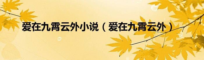 爱在九霄云外小说（爱在九霄云外）