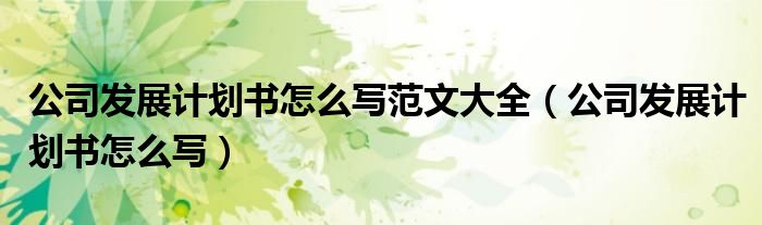 公司发展计划书怎么写范文大全（公司发展计划书怎么写）