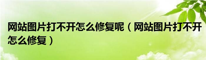 网站图片打不开怎么修复呢（网站图片打不开怎么修复）