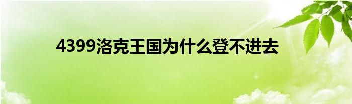 4399洛克王国为什么登不进去