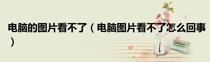 电脑的图片看不了（电脑图片看不了怎么回事）