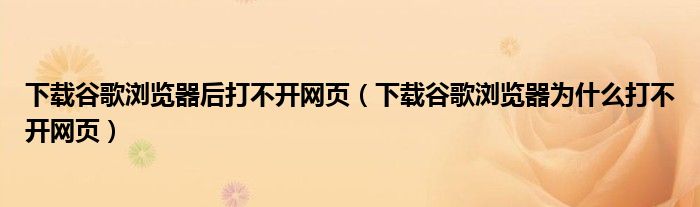 下载谷歌浏览器后打不开网页（下载谷歌浏览器为什么打不开网页）