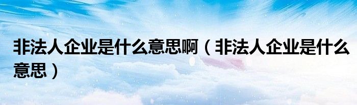非法人企业是什么意思啊（非法人企业是什么意思）