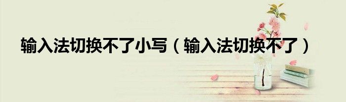 输入法切换不了小写（输入法切换不了）