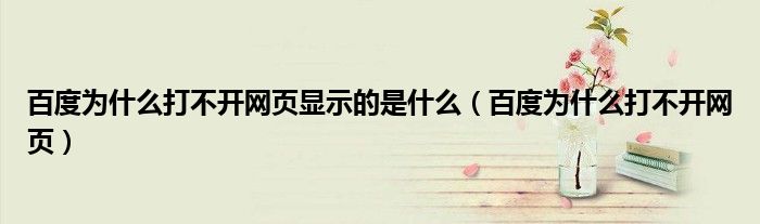 百度为什么打不开网页显示的是什么（百度为什么打不开网页）