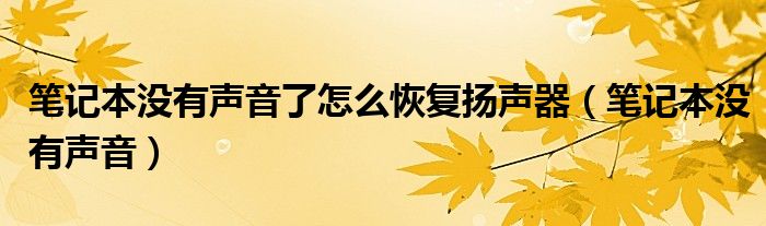 笔记本没有声音了怎么恢复扬声器（笔记本没有声音）