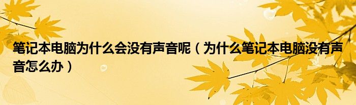 笔记本电脑为什么会没有声音呢（为什么笔记本电脑没有声音怎么办）
