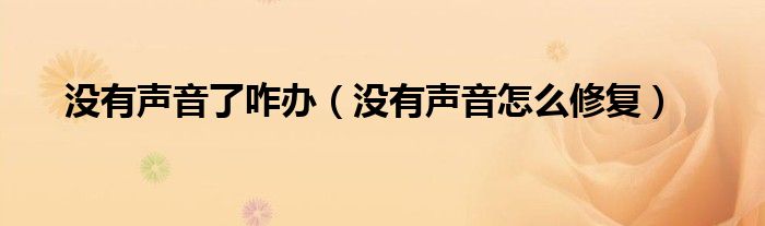 没有声音了咋办（没有声音怎么修复）
