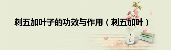 刺五加叶子的功效与作用（刺五加叶）
