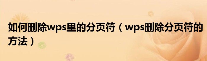 如何删除wps里的分页符（wps删除分页符的方法）