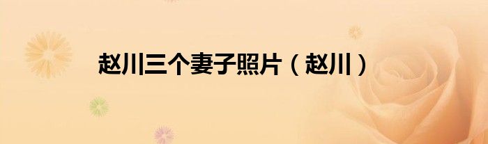 赵川三个妻子照片（赵川）