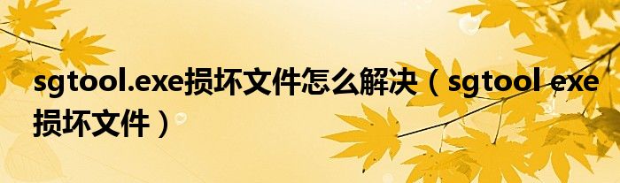 sgtool.exe损坏文件怎么解决（sgtool exe损坏文件）
