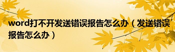 word打不开发送错误报告怎么办（发送错误报告怎么办）