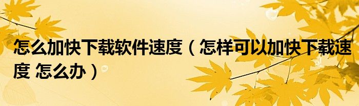 怎么加快下载软件速度（怎样可以加快下载速度 怎么办）
