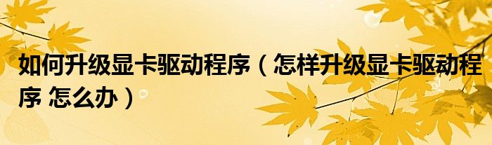 如何升级显卡驱动程序（怎样升级显卡驱动程序 怎么办）