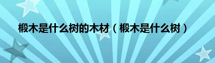 椴木是什么树的木材（椴木是什么树）