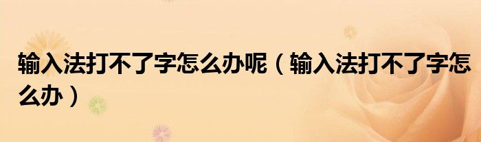 输入法打不了字怎么办呢（输入法打不了字怎么办）