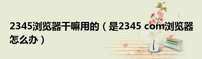 2345浏览器干嘛用的（是2345 com浏览器 怎么办）