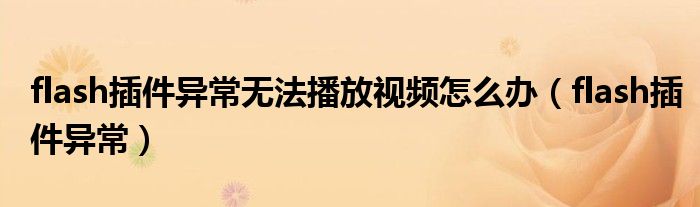flash插件异常无法播放视频怎么办（flash插件异常）