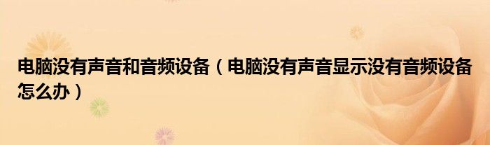 电脑没有声音和音频设备（电脑没有声音显示没有音频设备怎么办）