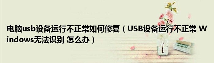电脑usb设备运行不正常如何修复（USB设备运行不正常 Windows无法识别 怎么办）