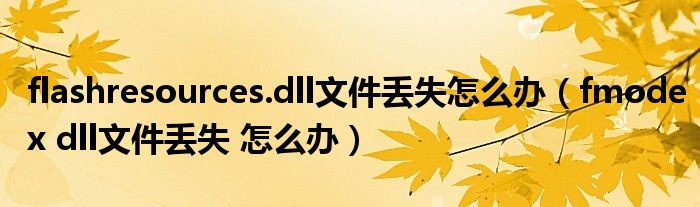 flashresources.dll文件丢失怎么办（fmodex dll文件丢失 怎么办）