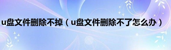 u盘文件删除不掉（u盘文件删除不了怎么办）