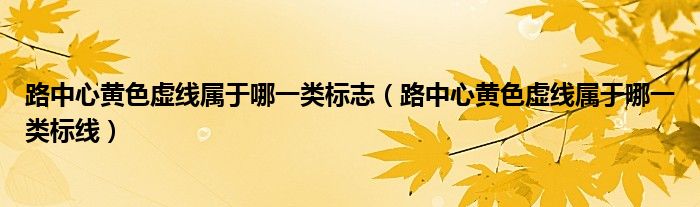 路中心黄色虚线属于哪一类标志（路中心黄色虚线属于哪一类标线）