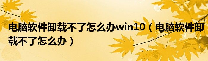 电脑软件卸载不了怎么办win10（电脑软件卸载不了怎么办）