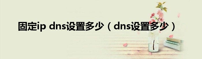 固定ip dns设置多少（dns设置多少）