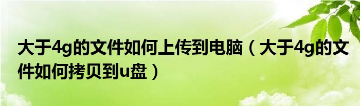 大于4g的文件如何上传到电脑（大于4g的文件如何拷贝到u盘）