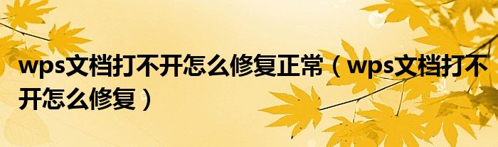 wps文档打不开怎么修复正常（wps文档打不开怎么修复）