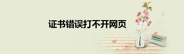 证书错误打不开网页