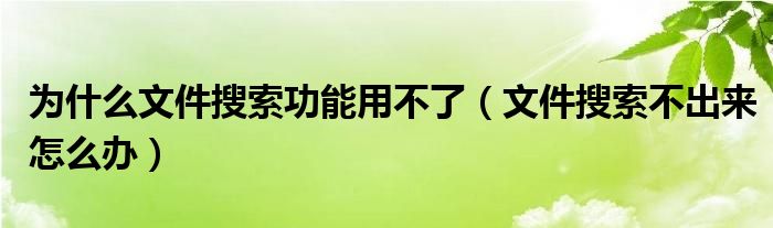 为什么文件搜索功能用不了（文件搜索不出来怎么办）