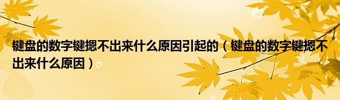 键盘的数字键摁不出来什么原因引起的（键盘的数字键摁不出来什么原因）