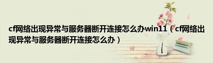 cf网络出现异常与服务器断开连接怎么办win11（cf网络出现异常与服务器断开连接怎么办）