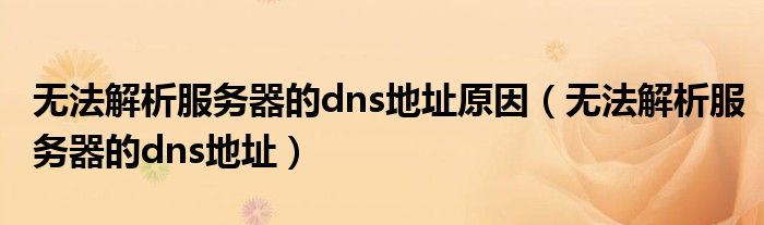 无法解析服务器的dns地址原因（无法解析服务器的dns地址）