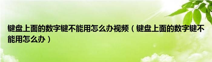键盘上面的数字键不能用怎么办视频（键盘上面的数字键不能用怎么办）