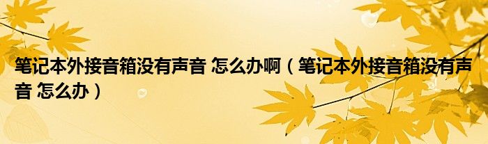 笔记本外接音箱没有声音 怎么办啊（笔记本外接音箱没有声音 怎么办）