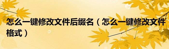 怎么一键修改文件后缀名（怎么一键修改文件格式）