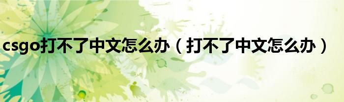 csgo打不了中文怎么办（打不了中文怎么办）