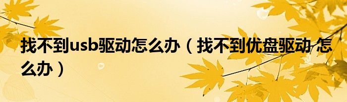 找不到usb驱动怎么办（找不到优盘驱动 怎么办）